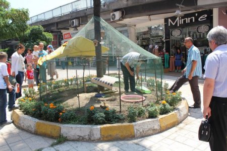 Sıcaklardan Bunalan Hayvanlara Özel Barınak