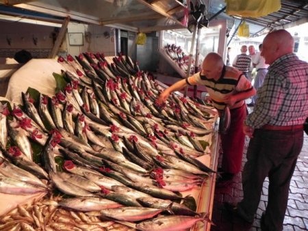 Şiddetli rüzgâr ve sağanak yağış, balık fiyatlarını artırdı