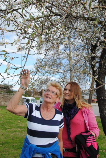 Side'de badem ağaçları çiçek açtı