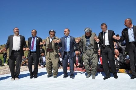 Siirt Valisi PKK'nın yol kestiği Bestler Dereler'de barış halayı çekti
