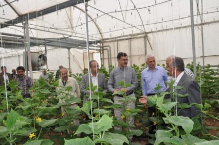 Siirt Ve Batman Valileri Kurtalan’da Buluştu