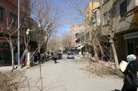 Siirt'te Ağaç Budama Çalışmaları Başladı