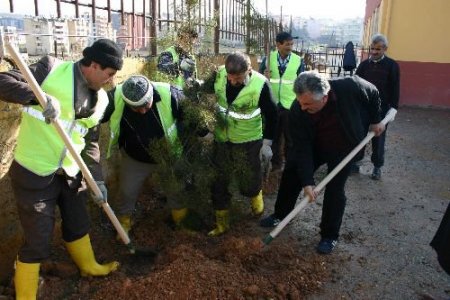 Siirt'te Ağaç Dikme Seferberliği Başlatıldı