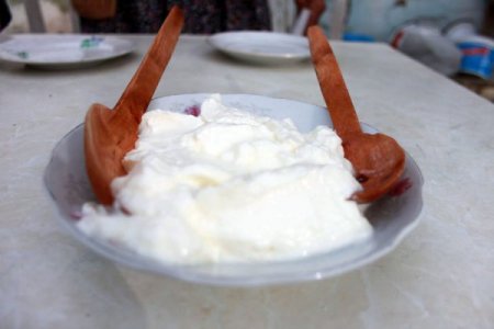 Silifke yoğurdu kadınların geçim kaynağı oldu