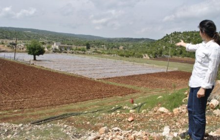 Silifke’de Dometes Fideleri Solarizasyon Sistemiyle Korunuyor