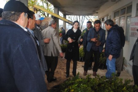Silifke'de Köylülere Fidan Desteği Sağlandı