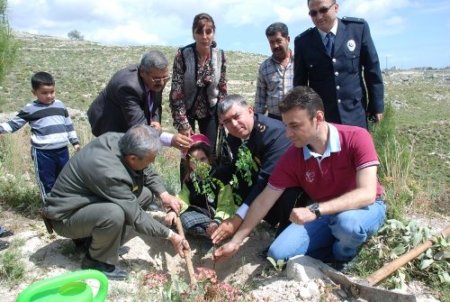 Silifke’de minik eller polis ormanını güçlendirdi