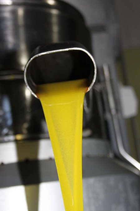 Silifke’de zeytinde 21 ton rekolte bekleniyor