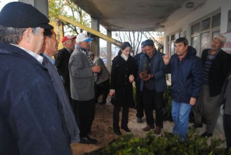 Silifkeli Çiftçilere Dağıtılan Defne Fidanları Toprakla Buluştu
