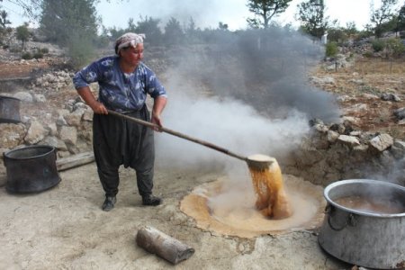 Silifkeliler pekmezi imece usulü çıkarıyor