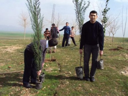 Silkor-der Silopi'de Bin 600 Fidan Dikti