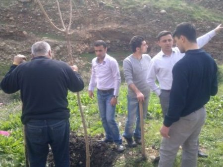 Silkor-der Silopi'de Bin 600 Fidan Dikti