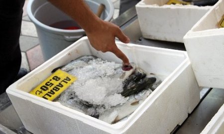 Sincan'da balık tezgahlarına denetim