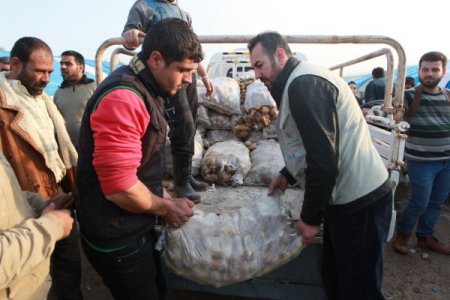 Sınır hattındaki kamplara gıda ve battaniye yardımı yapıldı