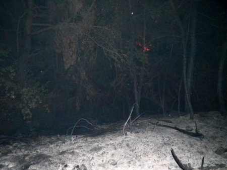 Sınır hattındaki yangın kontrol altına alındı