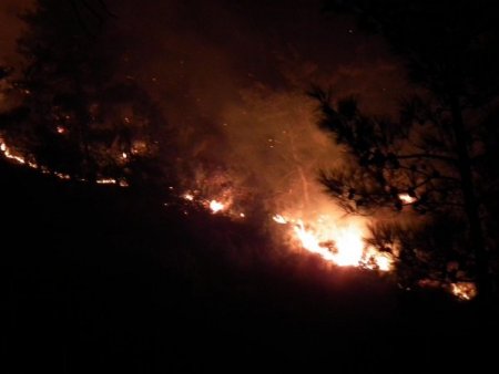 Sınır hattındaki yangın kontrol altına alındı