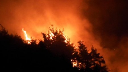 Sınır hattındaki yangın kontrol altına alındı