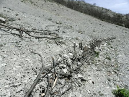 Sinop'ta Erozyon Kontrol Çalışması Yapıldı