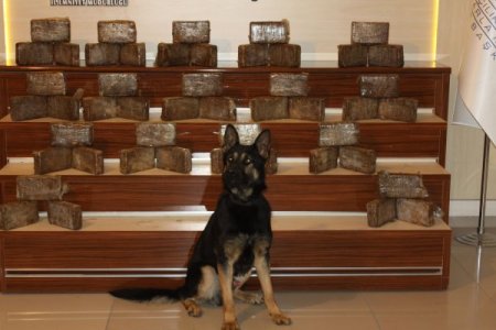 Şirince'de kıyameti bekleyenlere eroin götürürken yakalandı