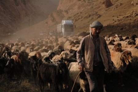 Şırnak ve çevresindeki yaylalarda konaklayan göçerler geri dönüyor