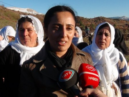 Şırnak’ta, AK Kadınlar Ormanı oluşturuldu