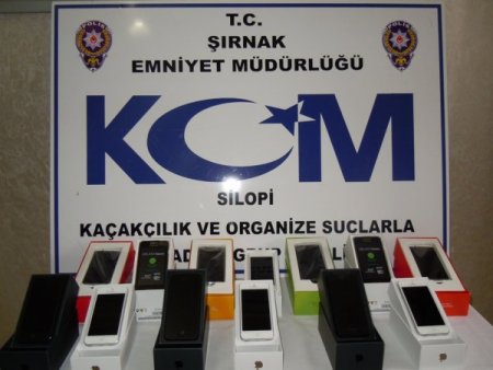 Şırnak’ta tarihi eser operasyonu