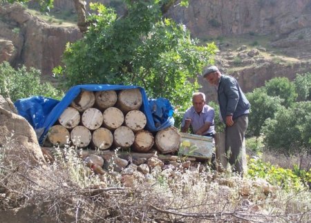 Şirvan Arıcılıkta Artık Daha Bilinçli