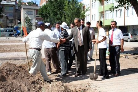 Sivas, Şantiyeye Döndü