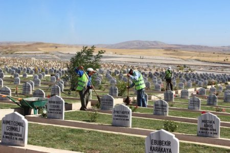 Sivas Belediyesi, gaziler için mezar yeri ayırdı