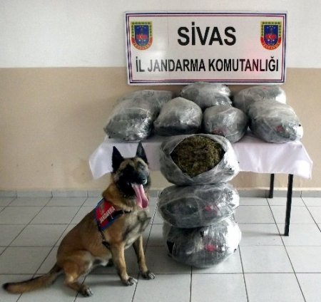 Sivas Jandarması'ndan uyuşturucu operasyonu