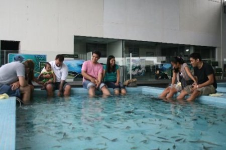 Sivas'ın Doktor Balıkları Filipinler'de