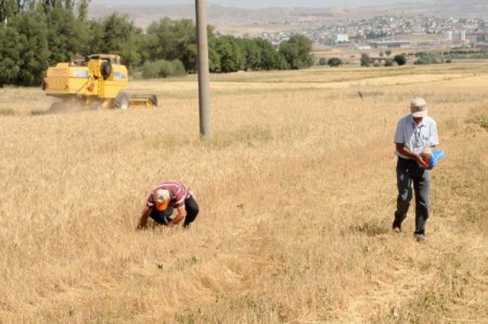 Sivaslı Çiftciler Destek Bekliyor