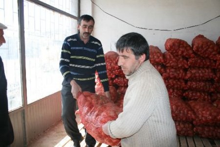 Sivas'ta 4 Yılda 900 Ton Tohumluk Patates Dağıtıldı