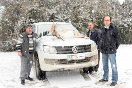 Sivas’ta kaçak avcılara 40 bin TL ceza