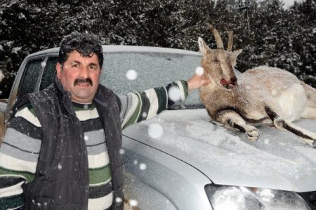 Sivas’ta kaçak avcılara 40 bin TL ceza