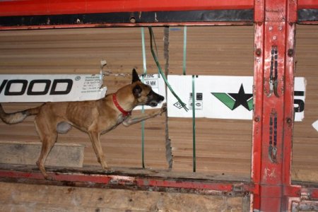 Sivas’ta kaçak sigara operasyonu