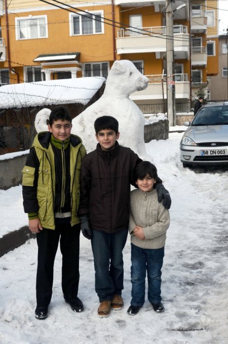 Sivas’ta kardan Kangal köpeği yaptılar