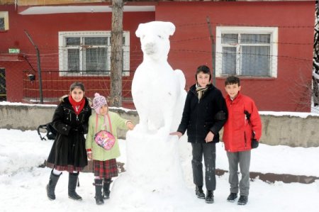 Sivas’ta kardan Kangal köpeği yaptılar