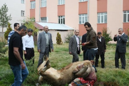 Sivas'ta sivil toplum örgütleri kurban sevincini Cem Vakfı'nda yaşadı