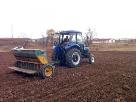 Sivas'ta soğuğa ve kurağa dayanıklı buğday üretilecek