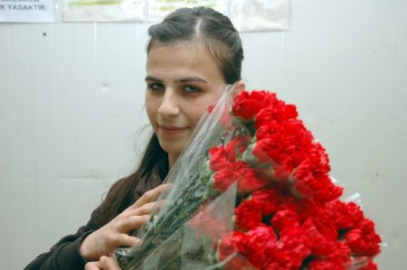 Soğuk, Çiçek Seralarını Vurdu, 14 Şubat’ta Güller Kenya Ve Kolombiya’dan Gelecek