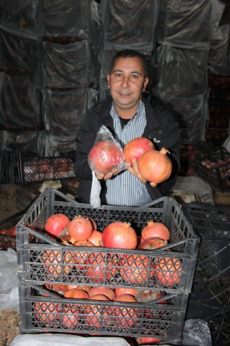 Soğuk hava depolarındaki nar iki kat yüksek fiyata ihracata gidiyor