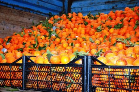 Soğuk Hava Hal Esnafını Da Olumsuz Etkiledi