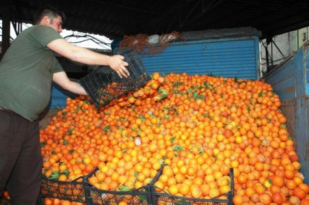 Soğuk Hava Hal Esnafını Da Olumsuz Etkiledi