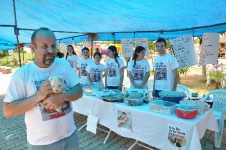 Sokak hayvanları için kermes düzenlediler