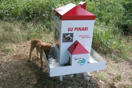 Sokak Hayvanları İçin Otomatik Yem Ve Su Makinesi Kondu