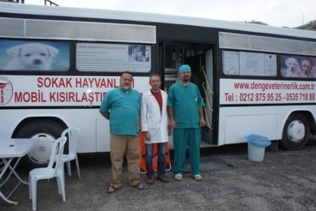Sokak hayvanları kısırlaştırılıyor