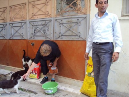 Sokak Hayvanlarına Mama Dağıtıldı