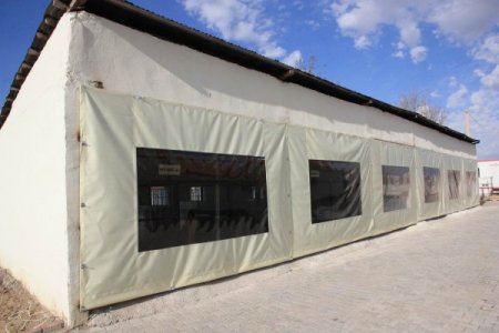 Sokak hayvanlarına sahip çıkan Aksaray Belediyesi'ne teşekkür