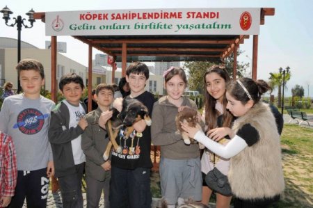 Sokak Hayvanlarına 'Vıp' Hizmeti